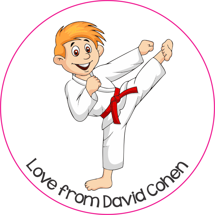 Karate kid 2
